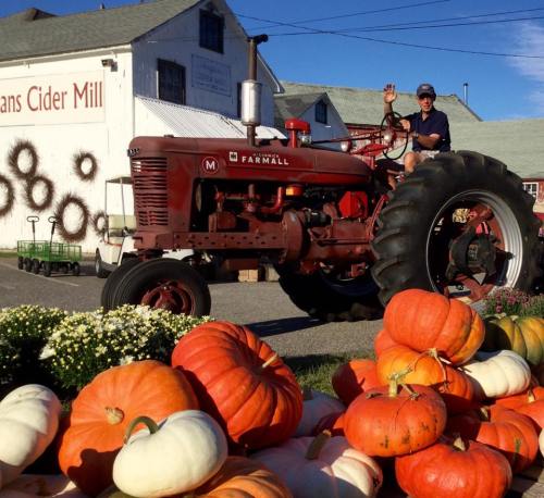 A person waves from a red tractor in front of a cider mill, surrounded by colorful pumpkins and flowers.