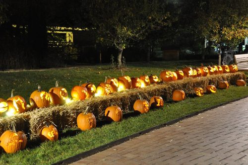 A row of illuminated carved pumpkins on a hay bale, set against a dark background.