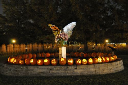 A glowing butterfly sculpture surrounded by intricately carved pumpkins at night.