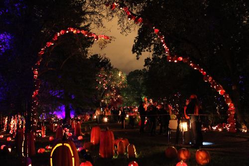 A nighttime scene of a pumpkin-lit pathway with people enjoying a festive atmosphere in a park.