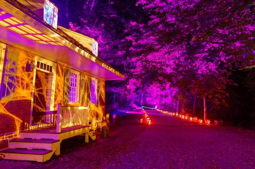 A spooky scene featuring a house illuminated with purple lights and a path lined with glowing jack-o'-lanterns.