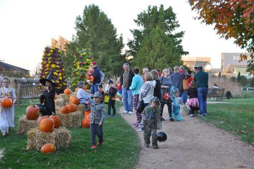 A lively outdoor scene with children in costumes, pumpkins, and families enjoying a fall festival.