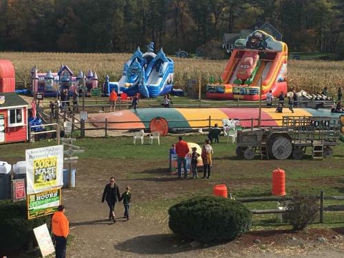 A vibrant outdoor amusement area with inflatable slides, a corn maze sign, and families enjoying the attractions.