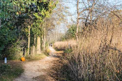 A winding path through trees and tall grass, with a pumpkin on the side and two people walking in the distance.