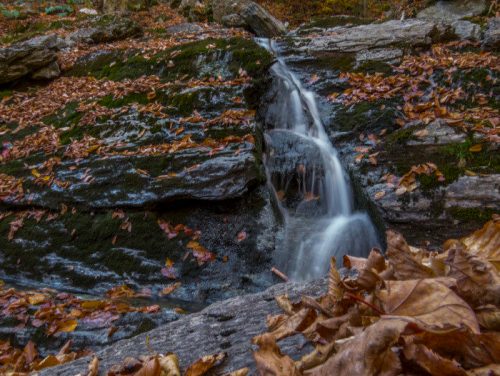 A small waterfall cascades over rocky terrain, surrounded by autumn leaves and moss.