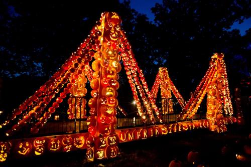 A vibrant display of carved pumpkins lit up at night, creating a festive Halloween atmosphere.