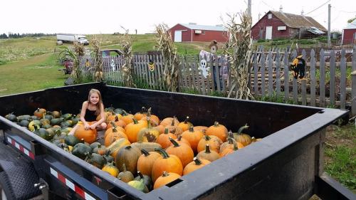 A girl sits among a large collection of pumpkins in a trailer, with a farm and decorations in the background.