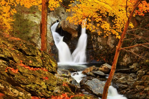 A serene waterfall cascades over rocks, surrounded by vibrant autumn foliage in shades of orange and yellow.