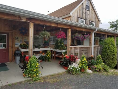 A rustic wooden building with a porch adorned with colorful hanging flowers and potted plants.
