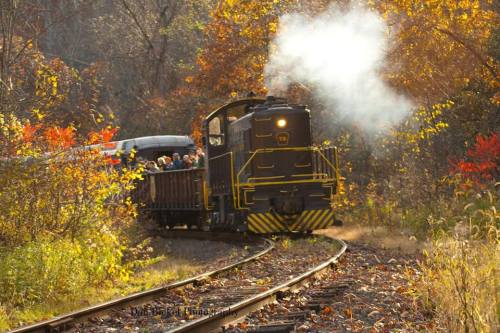A vintage train chugs along a winding track surrounded by colorful autumn foliage. Passengers enjoy the scenic ride.