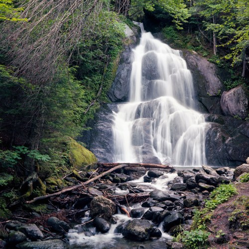 A serene waterfall cascades over rocks, surrounded by lush green trees and foliage.