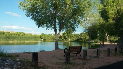 A serene lakeside scene with a bench, surrounded by lush trees and a clear blue sky.