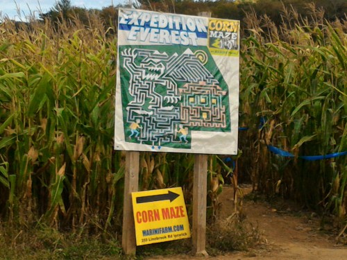 Sign for "Expedition Everest" corn maze with a maze design, surrounded by tall corn plants. Yellow sign below for directions.