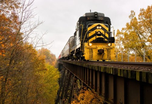 A yellow and black train crosses a bridge surrounded by vibrant autumn foliage.