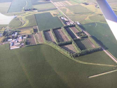 Aerial view of farmland with fields, trees, and a farmstead surrounded by green crops and rural roads.