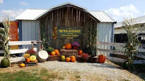 A rustic entrance to a corn maze, decorated with pumpkins, flowers, and hay bales, under a blue sky.