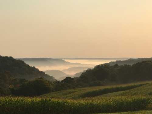 A serene landscape of rolling hills shrouded in morning mist, with a golden sky at sunrise.