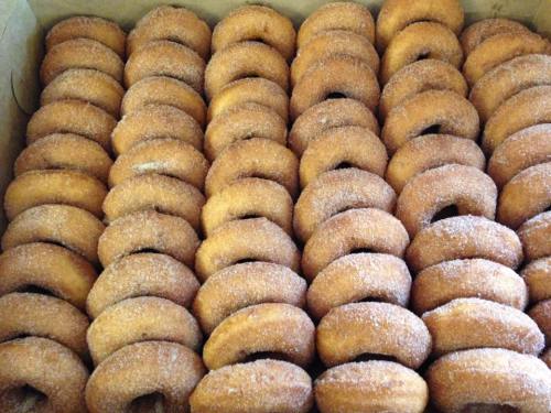 A box filled with neatly arranged, sugar-coated donuts.