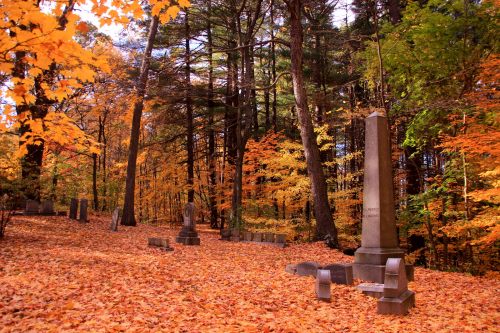A serene cemetery surrounded by vibrant autumn foliage and fallen leaves, with tall trees in the background.