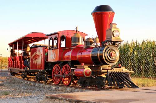 A vintage red steam train with a black smokestack, parked beside a cornfield under a clear sky.