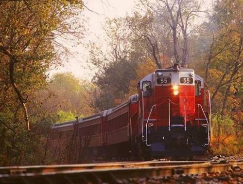A red train with the number 55 travels along a scenic, tree-lined track in autumn.