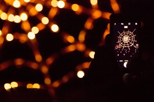 A hand holding a phone captures a glowing spider web against a backdrop of warm, blurred lights.