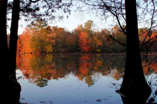 A serene lake surrounded by trees, reflecting vibrant autumn colors in the calm water.