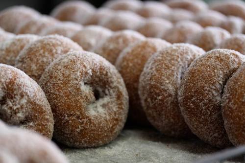A close-up of freshly made, sugar-coated donuts arranged in rows on a tray.