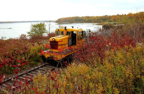 A yellow train on tracks surrounded by colorful autumn foliage near a river.