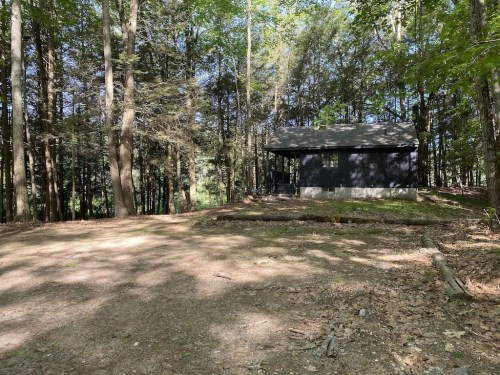 A small black cabin nestled among tall trees in a wooded area, with a clear patch of ground in the foreground.