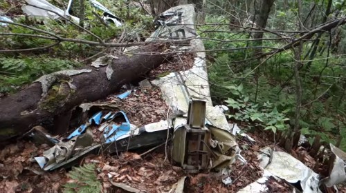 A wrecked aircraft fuselage lies among trees and foliage, partially covered by leaves and debris in a forested area.