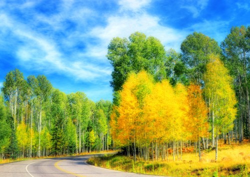 A winding road through a vibrant forest with green and golden trees under a bright blue sky.