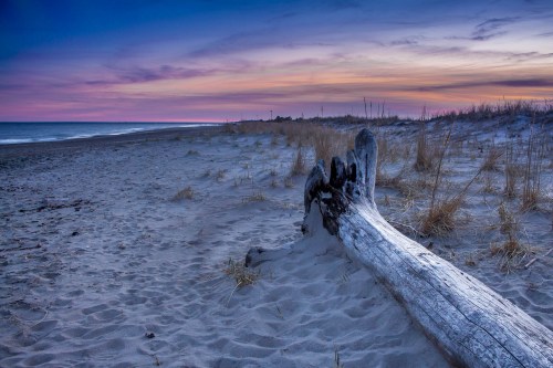 A serene beach at sunset, featuring a weathered log on sandy shore and soft grasses under a colorful sky.