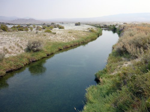 A serene river flows through a grassy landscape, surrounded by shrubs and distant mountains under a hazy sky.