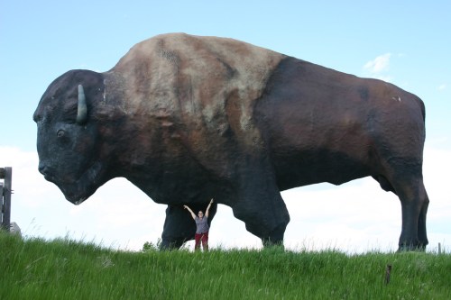 A person stands beneath a giant bison statue, surrounded by green grass and a blue sky.
