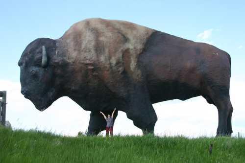 A person stands beneath a giant bison statue, surrounded by green grass and a blue sky.