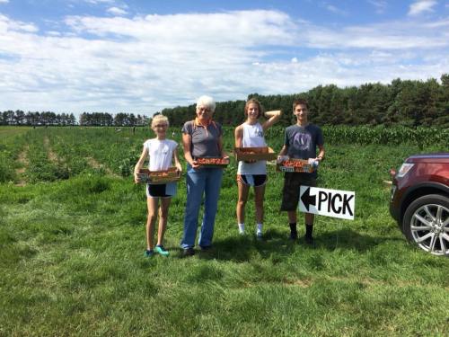 Four people stand in a field holding trays of strawberries, with a "PICK" sign and a car nearby.