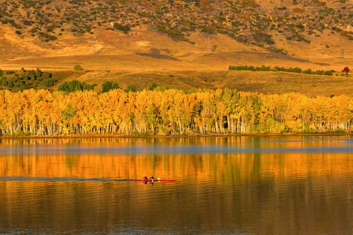 A serene lake reflects golden autumn trees as a person rows a kayak across the calm water.
