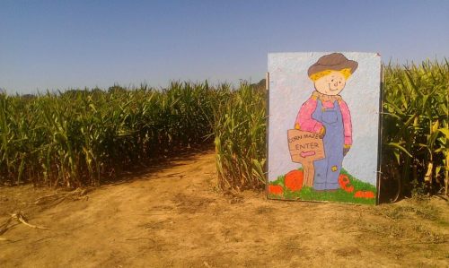 A colorful sign of a farmer stands at the entrance of a cornfield, inviting visitors to enter.