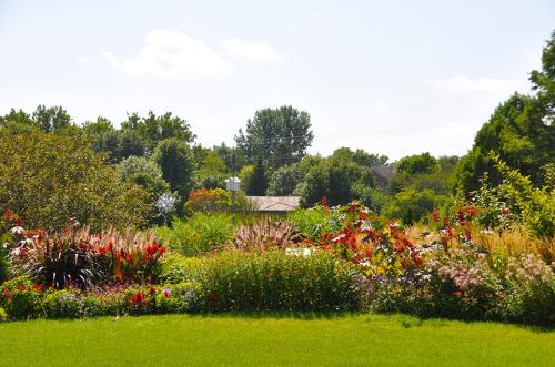 A vibrant garden filled with colorful flowers and lush greenery under a clear blue sky.