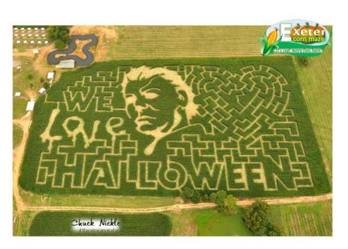 Aerial view of a corn maze featuring the words "We Love Halloween" and a spooky face design.