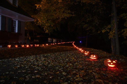 A dark pathway lined with glowing jack-o'-lanterns among fallen leaves, creating a festive Halloween atmosphere.