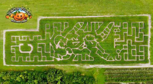 Aerial view of a large corn maze shaped like a skeleton, surrounded by green fields and a pumpkin logo in the corner.
