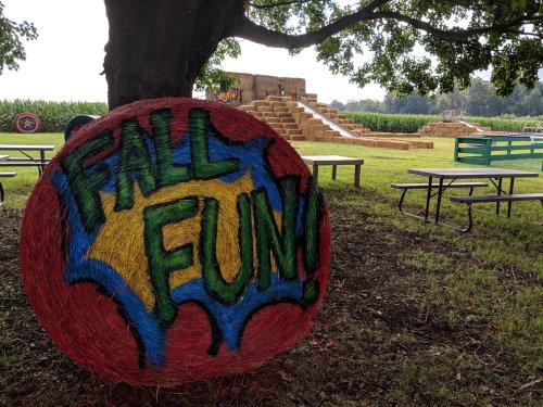 A colorful hay bale with "FALL FUN!" painted on it, set in a grassy area with picnic tables and a cornfield in the background.