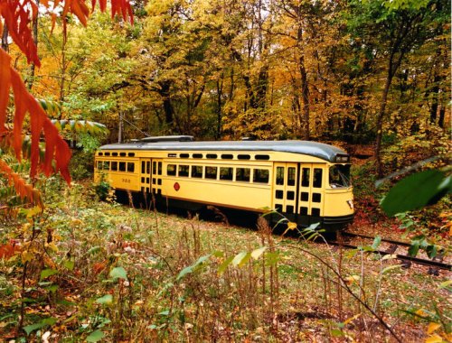 A vintage yellow streetcar travels through a colorful autumn forest, surrounded by vibrant fall foliage.
