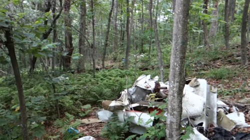 A forested area with dense trees and ferns, featuring a pile of discarded debris and materials on the ground.