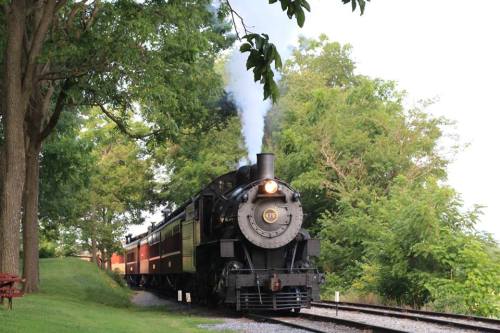A vintage steam train chugs along a scenic track, surrounded by lush greenery and trees. Smoke billows from its chimney.