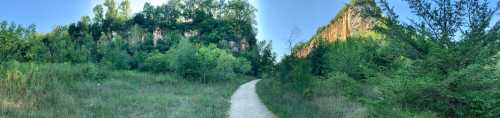 A scenic pathway surrounded by lush greenery and rocky cliffs under a clear blue sky.