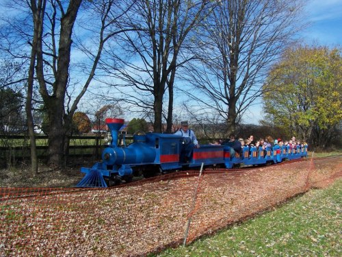 A colorful train with passengers rides through a park, surrounded by trees and autumn foliage.