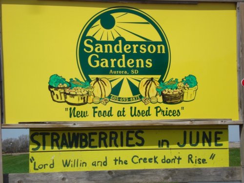 Sign for Sanderson Gardens in Aurora, SD, promoting strawberries in June with a colorful, cheerful design.